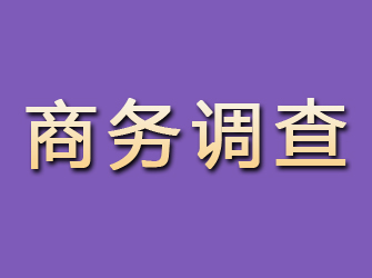 谷城商务调查